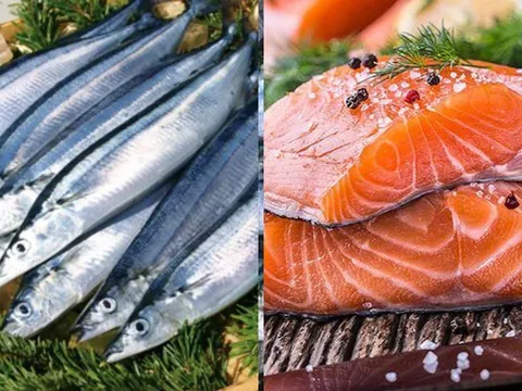 Loại cá là "vua omega-3", cá hồi chỉ đứng hạng 2: Bán đầy chợ Việt giá cực rẻ