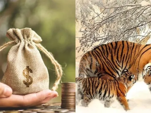 3 con giáp càng làm càng giàu, ở hiền gặp lành: Cuối năm 2025 tắm trong cơn mưa tiền khiến mọi người trầm trồ