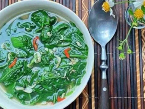 3 loại rau mọc hoang như cỏ dại ở Việt Nam nhưng là thuốc quý ít ai ngờ tới
