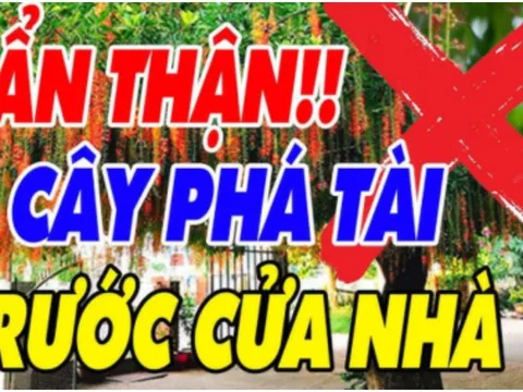 5 loại cây ác Chặn Cửa Thần Tài: Trồng trước nhà nào, nhà đó nghèo khổ, cây càng xanh người càng lao đao