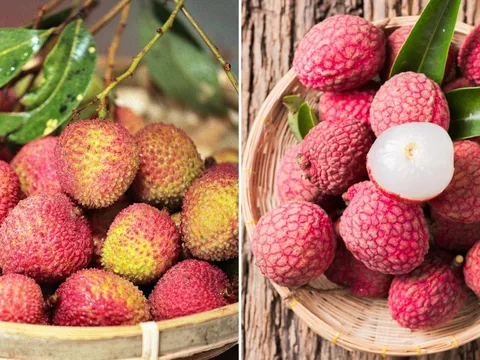 Quả vải ngon ngọt nhưng 5 nhóm người này không nên ăn