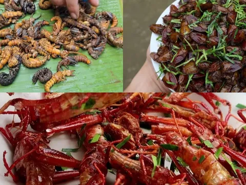 “Sợ xanh mặt” với 3 đặc sản miền Bắc: Nhìn rùng mình nhưng ăn là mê