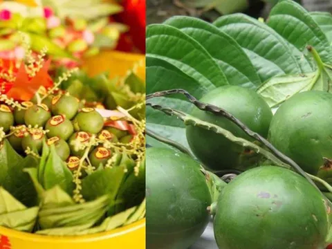 Thắp hương trầu cau xong đừng bỏ đi, dùng trầu cau cách này Làm Đẹp Da trắng sạch mụn