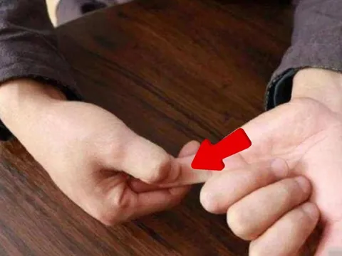 Tổ Tiên nói: ‘Ngón tay út vượt qua 3 tầng, về già chẳng lo cơm ăn áo mặc’, 3 tầng đó là gì?