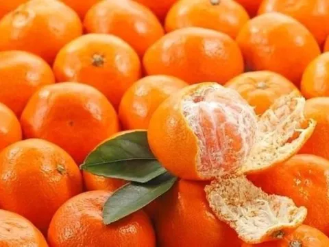 4 loại trái cây được chuyên gia khuyên dùng để hỗ trợ làm sạch phổi, chữa ho và cải thiện hô hấp