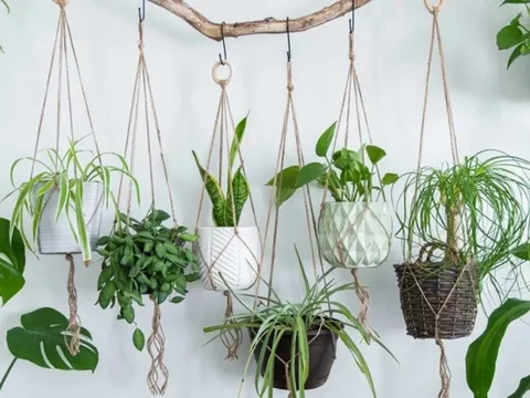 4 yếu tố trong phong thủy làm gia tăng thịnh vượng cho gia chủ