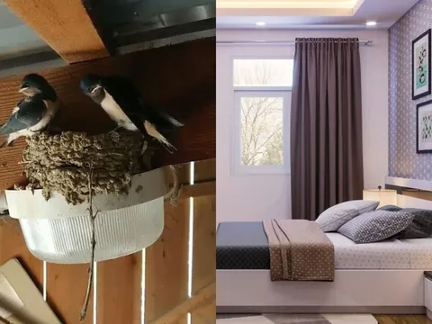 5 hiện tượng báo tin trúng lộc trời, nhà sắp đón tiền tài ùn ùn kéo đến