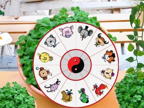 Chọn Cây cảnh Phong thủy cho 12 con giáp, Cây hợp Tuổi để Thu hút Tài Lộc, Gánh Vàng Hốt Bạc Giàu sang
