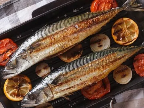 Không phải cá hồi, đây mới là loại cá người Nhật ăn 3 bữa/ngày không ngán