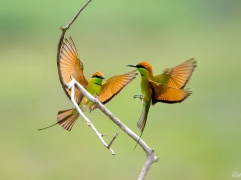 Những người sinh vào 4 khung giờ này, có số hưởng, luôn có Thần Tài trợ giúp, không lo nghèo khó