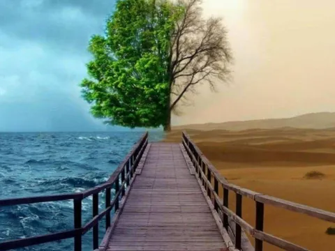Tổ tiên dạy: Muốn biết lòng người rộng hay hẹp, chỉ cần nhìn kỹ 2 dấu hiệu này là rõ ngay