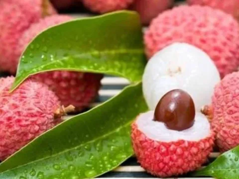 Bí quyết bảo quản vải thiều lâu ngày vẫn tươi mọng, không bị thâm vỏ