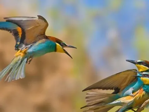 Người sinh vào 3 tháng Âm lịch này, tuổi trẻ gian nan, nhưng trung niên tài lộc ào ào đổ về