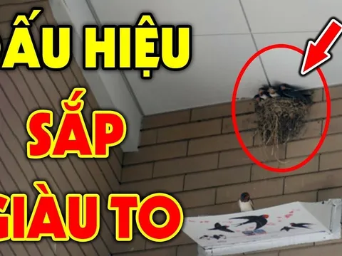 Tổ Tiên nói: 'Mở cửa thấy ngay 3 thứ là Điềm Lành, con cháu đời đời giàu có', đó là gì?