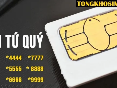 Tại sao nên chọn mua sim tứ quý tại Tổng Kho Sim