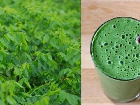5 công dụng vượt trội của nước ép rau ngót khiến chị em sốt sình sịch