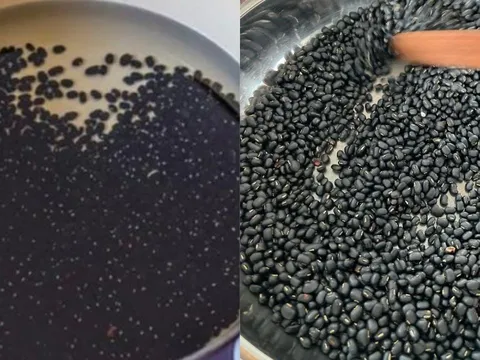 Vì sao nên ngâm và rang hạt trước khi nấu nước đậu đen? Bỏ qua bước này thì nước đậu có thể gây hại