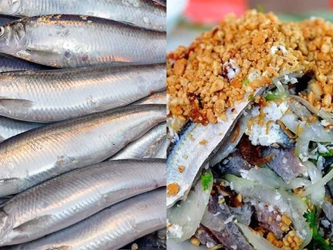 Loại cá “béo” giúp giảm mỡ máu cực mạnh, người Nhật ăn mỗi ngày, Việt Nam thì đầy biển