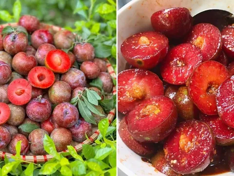 Mận chín ngon khó cưỡng nhưng có 6 nhóm người không nên ăn, thèm mấy cũng đừng động vào