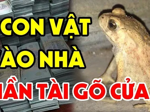 4 con vật Đệ Tử Thần Tài, vào nhà nào nhà đấy Tiền Tài nảy số