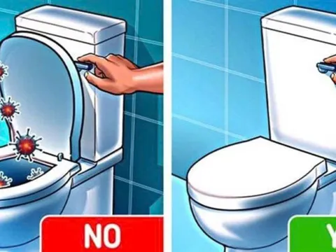 Nên đóng hay mở nắm bồn cầu sau khi dùng? 90% mọi người làm sai bảo sao nhà vệ sinh luôn bốc mùi
