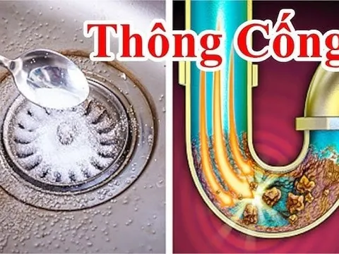 Xả nước vào cống tắc cứng: Làm cách đơn giản này không cần gọi thợ, chẳng sợ bẩn nhà