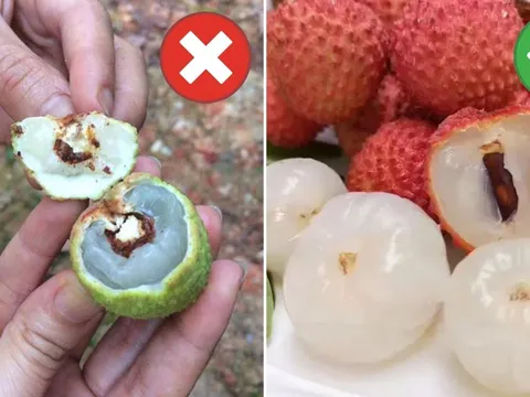 Cách chọn vải không bị sâu đầu, cùi dày, hạt nhỏ