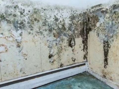 Tường bị ẩm mốc, bong tróc mất thẩm mỹ: Làm cách này là tường sạch đẹp, không tốn chi phí