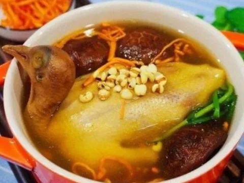 Vì sao thịt chim bồ câu được ví quý hơn 9 con gà? Lợi ích & lưu ý khi dùng