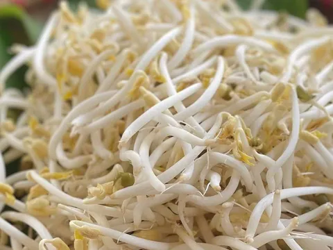 4 loại rau bổ hơn thịt, rẻ hơn thuốc, quý như nhân sâm – nhiều người bỏ qua mà không biết
