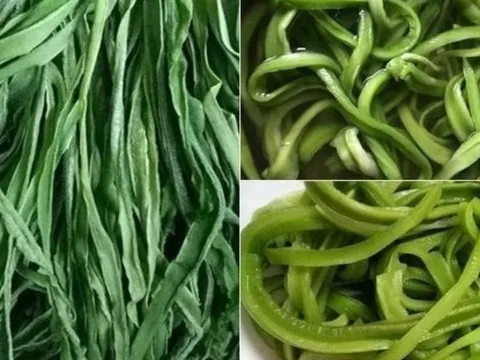 Loại rau Việt đắt hơn thịt, bổ ngang nhân sâm: Nhiều người vẫn bỏ qua mà không biết