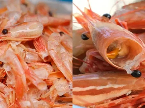 Việt Nam lãng phí “mỏ vàng” từ vỏ tôm: Giá trị gấp 25 lần tôm, cơ hội tỷ đô ai nắm sẽ giàu
