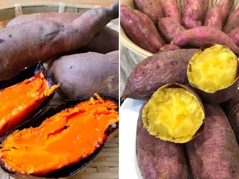 Khoai lang lành tính, tốt cho cơ thể nhưng có 5 nhóm người không nên ăn