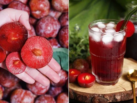 Mận đang vào mùa, tranh thủ làm siro mận, để cả năm vẫn thơm ngon