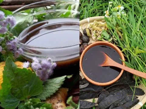 Nhanh tay bứt nắm lá mọc dại về gội đầu, công dụng bất ngờ, tóc suôn mềm, sạch gàu, mọc tóc mới xanh mượt