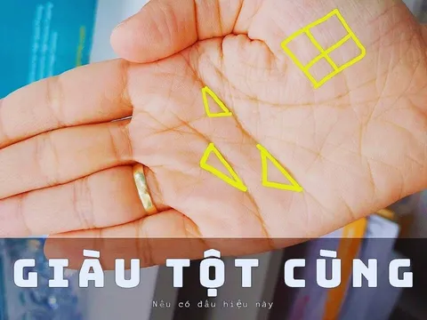 Phụ nữ có bàn tay như vậy đặc biệt dễ giàu có! Xem tay bạn có không?