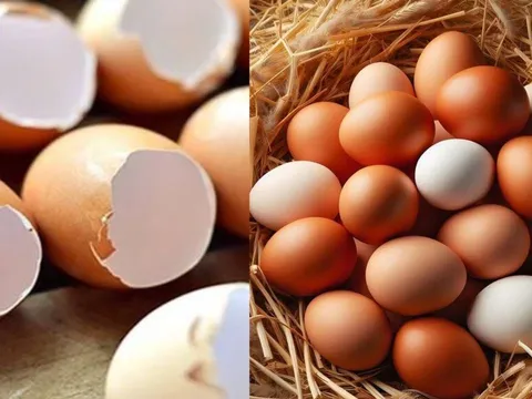 Vỏ trứng đừng vứt bỏ, chúng là "báu vật" nhiều người quên lãng, dùng ngay kẻo tiếc, nhà ai cũng cần