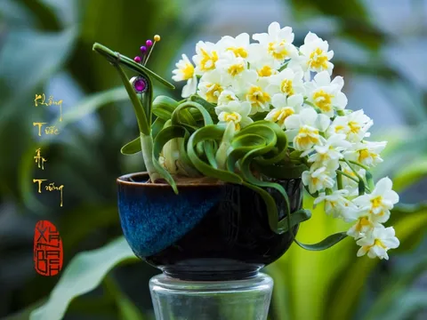 5 loại hoa giúp đánh thức tài lộc, nên đặt ở bàn thờ Thần Tài