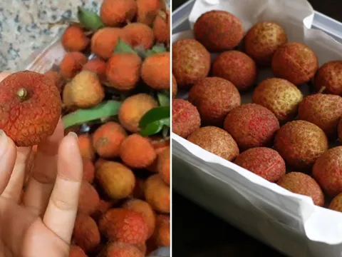 Bảo quản vải thiều theo cách này, để cả năm vẫn tươi ngon, không bị thâm vỏ