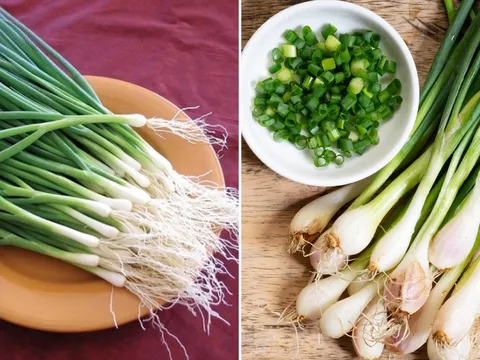 Hành lá là gia vị không thể thiếu trong nhiều món nhưng có 4 nhóm người không nên ăn