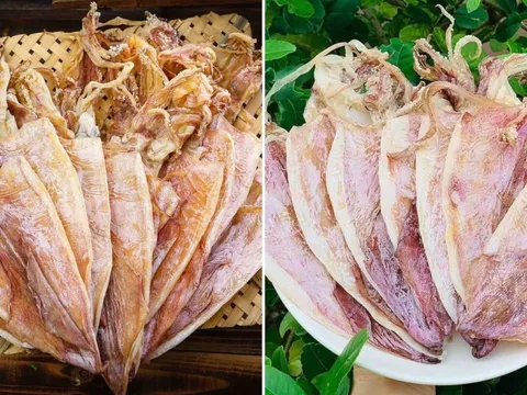 Mua mực khổ phải nhìn đúng điểm này, chọn được hàng chuẩn, ngọt thịt, không sợ mua phải hàng giả