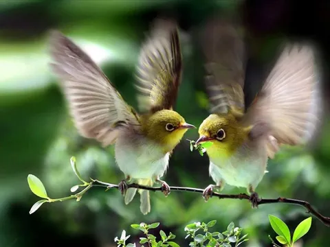 Người sinh vào 5 ngày Âm lịch này, như rượu lâu năm, trước nghèo sau giàu, tuổi cao vận may lớn