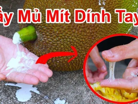 Cách làm sạch nhựa mít ở tay, dao cực đơn giản: 5 phút là sạch bóng