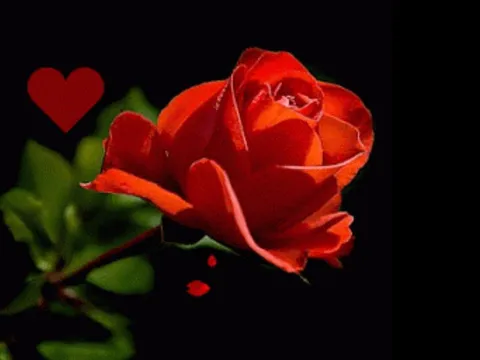 Dù yêu tới mấy, phụ nữ cũng phải cảnh giác khi người ấy có 3 biểu hiện này