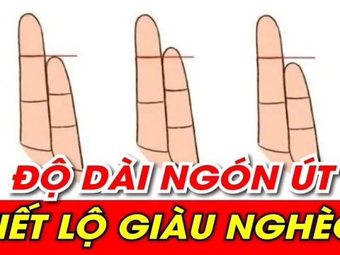 Xem độ dài ngón út, biết ngay ai nghèo hèn mạt kiếp, ai sinh ra "ngậm thìa vàng"