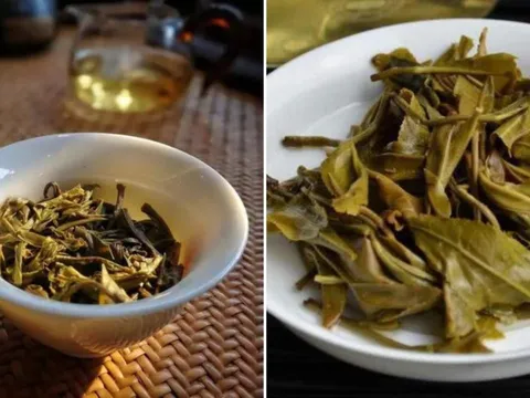 Bỏ bã trà là lãng phí, giữ lại giúp giải quyết 7 vấn đề quan trọng, cả nam và nữ đều cần