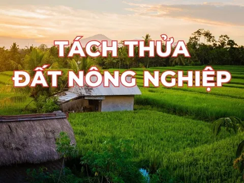 Kể từ bây giờ: Người dân muốn tách thửa đất nông nghiệp cần lưu ý điều này