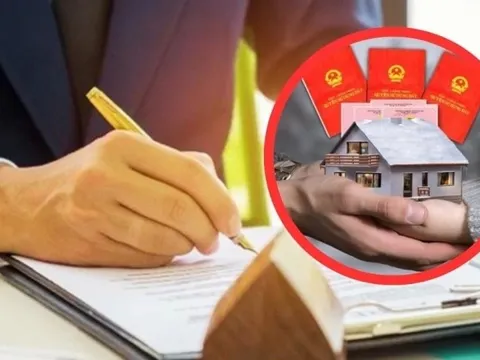 Sang tên Sỏ đỏ phải tránh 1 việc: Vi phạm bị phạt lên đến 3.000.000 đồng