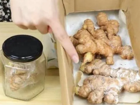 Mua gừng về đừng bỏ tủ lạnh: Làm cách này để được nửa năm không bị teo, thối