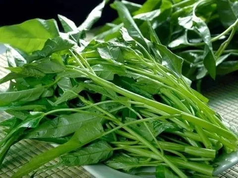 Những người mắc 3 loại bệnh này nên cẩn thận khi ăn rau muống